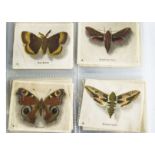 Cigarette Silks Phillips, British Butterflies & Moths, part sets, L39/40 and M10/10, missing no.1 (