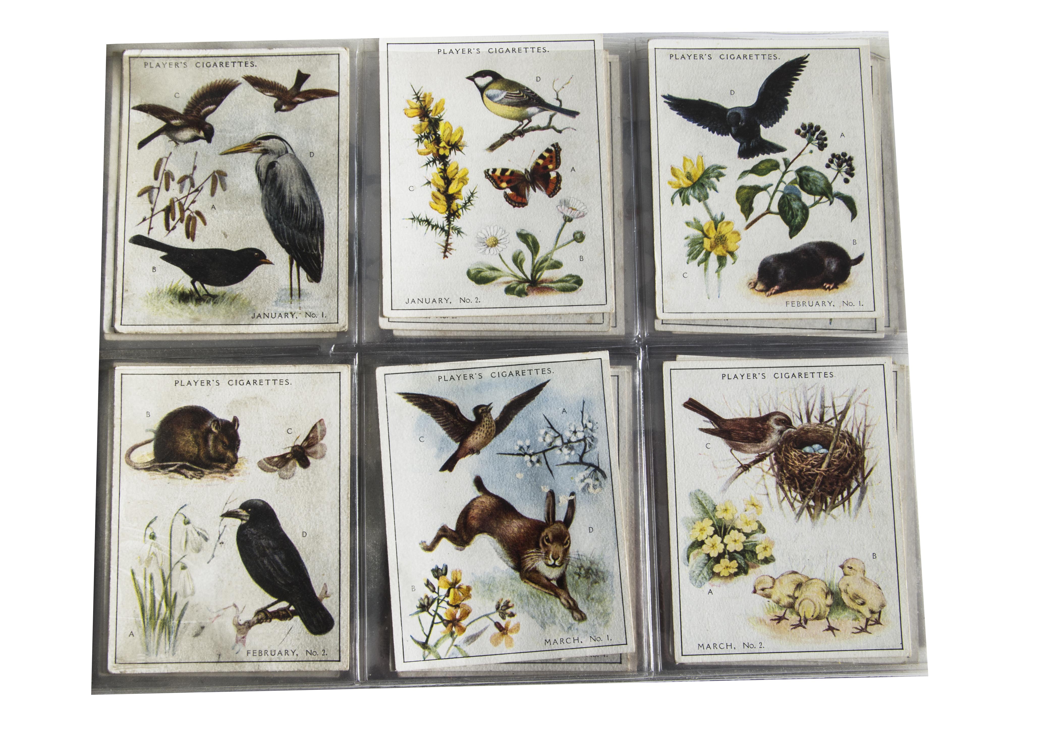 Cigarette & Trade Cards, Nature, a modern ringbinder containing a collection by various