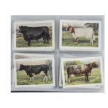 Cigarette Cards, Players, a selection of L sized sets to name British Livestock (blue back), Wild