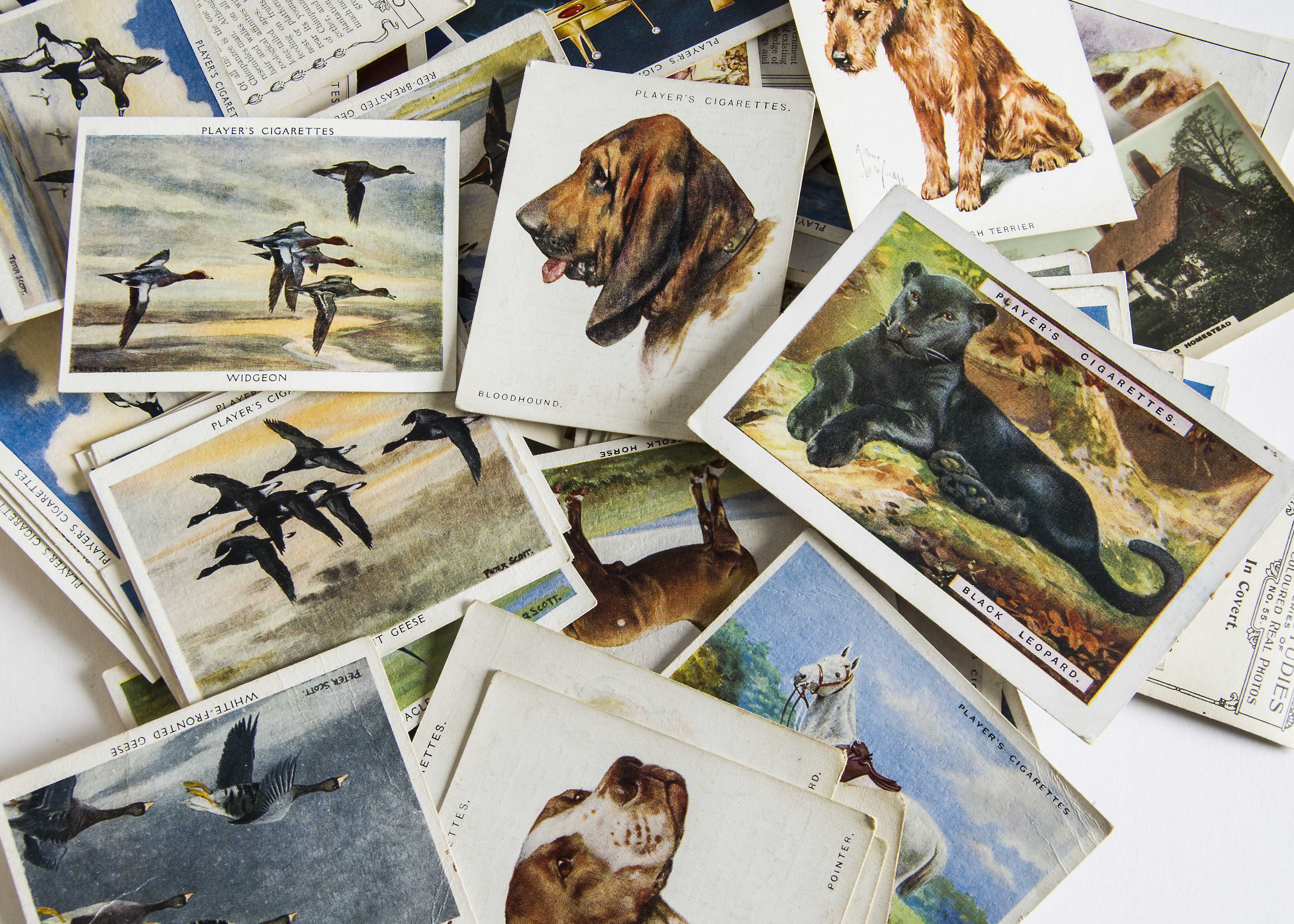 Cigarette Cards, Mixture, a large collection of loose cards, (majority L sized) mixed genres and