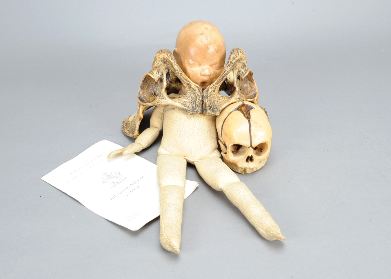 A Midwife's Outfit, suede and composition new-born baby, facsimile pelvis, skull, leaflet and