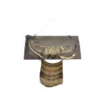 A collection of Papua New Guinea Asmat items, including woven string bag, wild dog tooth necklace,