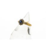 A 9ct gold sapphire and diamond cluster ring, the central blue sapphire, oval cut in claw setting