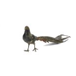 A Franz Xaver Bergman cold painted bronze female pheasant, stamped 'B', numbered 5724, 47 cm long