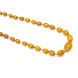 A large graduated, knotted amber string necklace, the toffee coloured beads with largest 3cm x 2.3cm