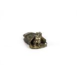 A late 19th Century cold painted bronze figure, possibly Bergman / Namgreb, of a dog emerging from a