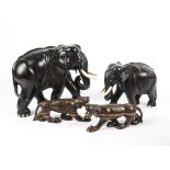A large ebonised wood carving of an adult elephant together with a child, each with bone tusks and