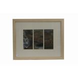 Anne Gunning (British 20th Century) oils on board, Porthgain Triptych Study', framed and glazed,