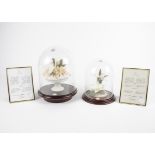 Two Lladro limited edition floral displays, consisting of "Serenade in White", with certificate of