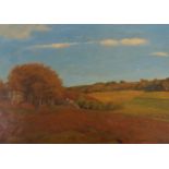 An early 20th Century oil on canvas, depicting a rural landscape, signed and dated 'Nicola Bi-rr-
