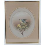 A 20th Century John Stafford gouache on paper, depicting a goldfinch perched upon a branch in an