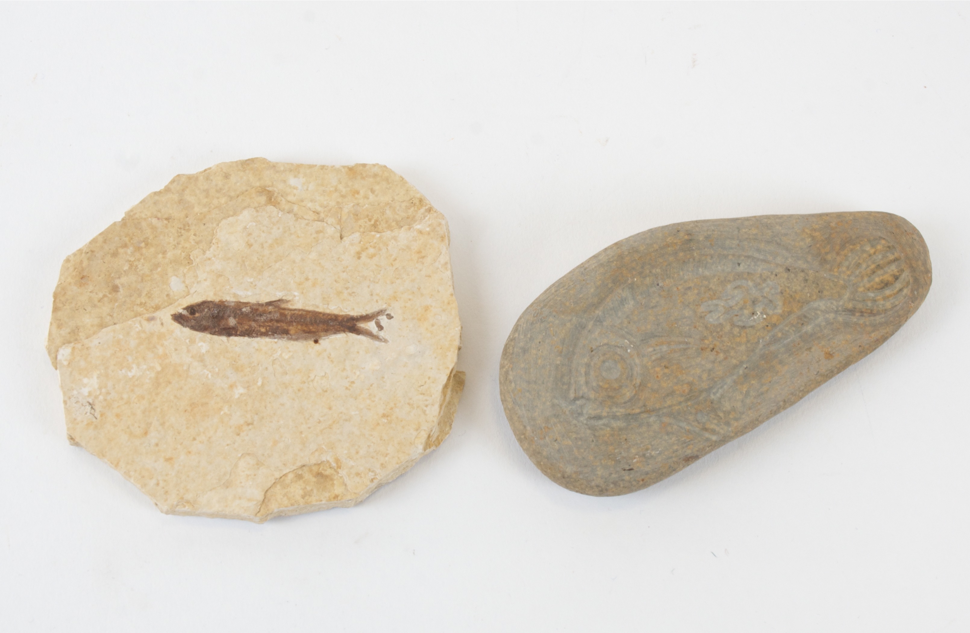 A fossilised fish specimen, probably Eocene period, length of stone 10cm, together with a stone with