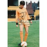 PETER KNOWLES AUTOGRAPH Colour 12 x 8 photo, showing an image of Wolves centre-forward Peter Knowles