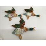 Three Beswick graduated flying ducks