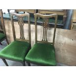 A collection of six Edwardian dining chair with gr