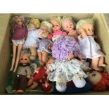 A collection of dolls including a long leg Sindy d
