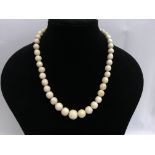A graduating ivory bead necklace.