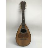 A mandolin by Guiseppe Casini of Napoli, in need o