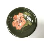A green Moorcroft dish with central large hibiscus flower. Measures approx 19cm across.