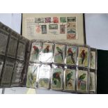 An Album containing cigarette cards including exotic birds and animals and a Stamp Album. (2)