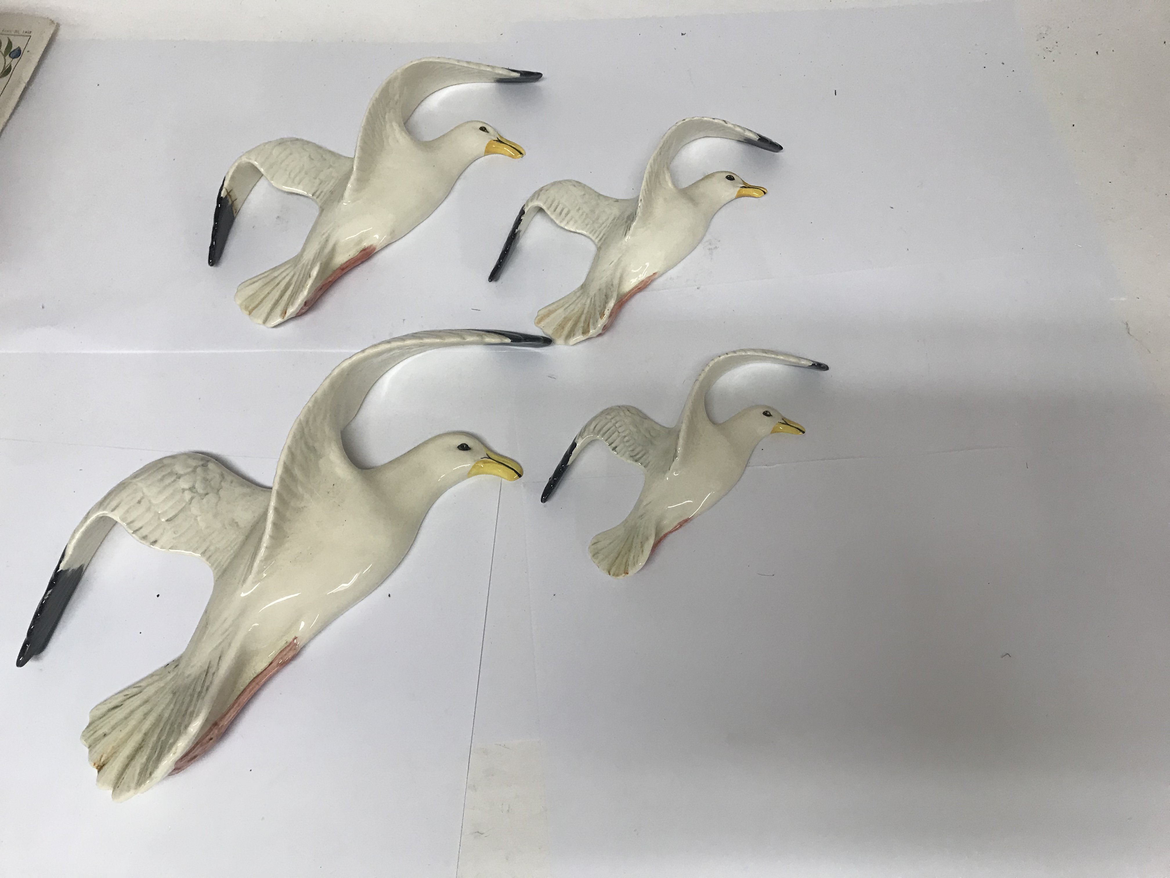 A set of four Beswick seagulls of graduating sizes. Largest approx 37cm from wing tip to tail.