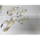 A set of four Beswick seagulls of graduating sizes. Largest approx 37cm from wing tip to tail.