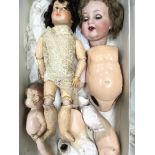 A box containing an early 20th century bisque and composite doll, alongside two other dolls, a/f.