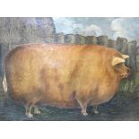 A good quality old painting of a fat pig in a gilt frame. 29cm by 21cm portrait approx.