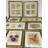 A collection of early 20th Century silk embroidery’s in gilt frames. (8)