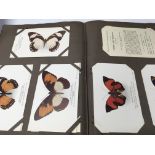 An Album containing a set of cards Exotic moths and butterflies printed by Waterlow &Sons British