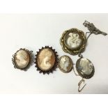 A collection of cameo brooches side profile portra