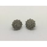 A pair of white gold diamond cluster earrings, approx 5.3 g.