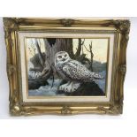 An original painting on board of a snowy owl, signed Johnny Gaston.Approx 47x57cm