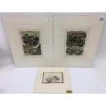 Three, unframed Victorian hand tinted prints of London houses and playful mice.Largest approx