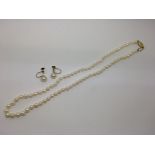 A pearl choker necklace with 9ct gold clasp with a pair of gold screwback pearl earrings.Approx 20cm