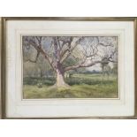 William Eyre Walker (1847-1930) framed and glazed watercolour landscape titled 'Early Spring',