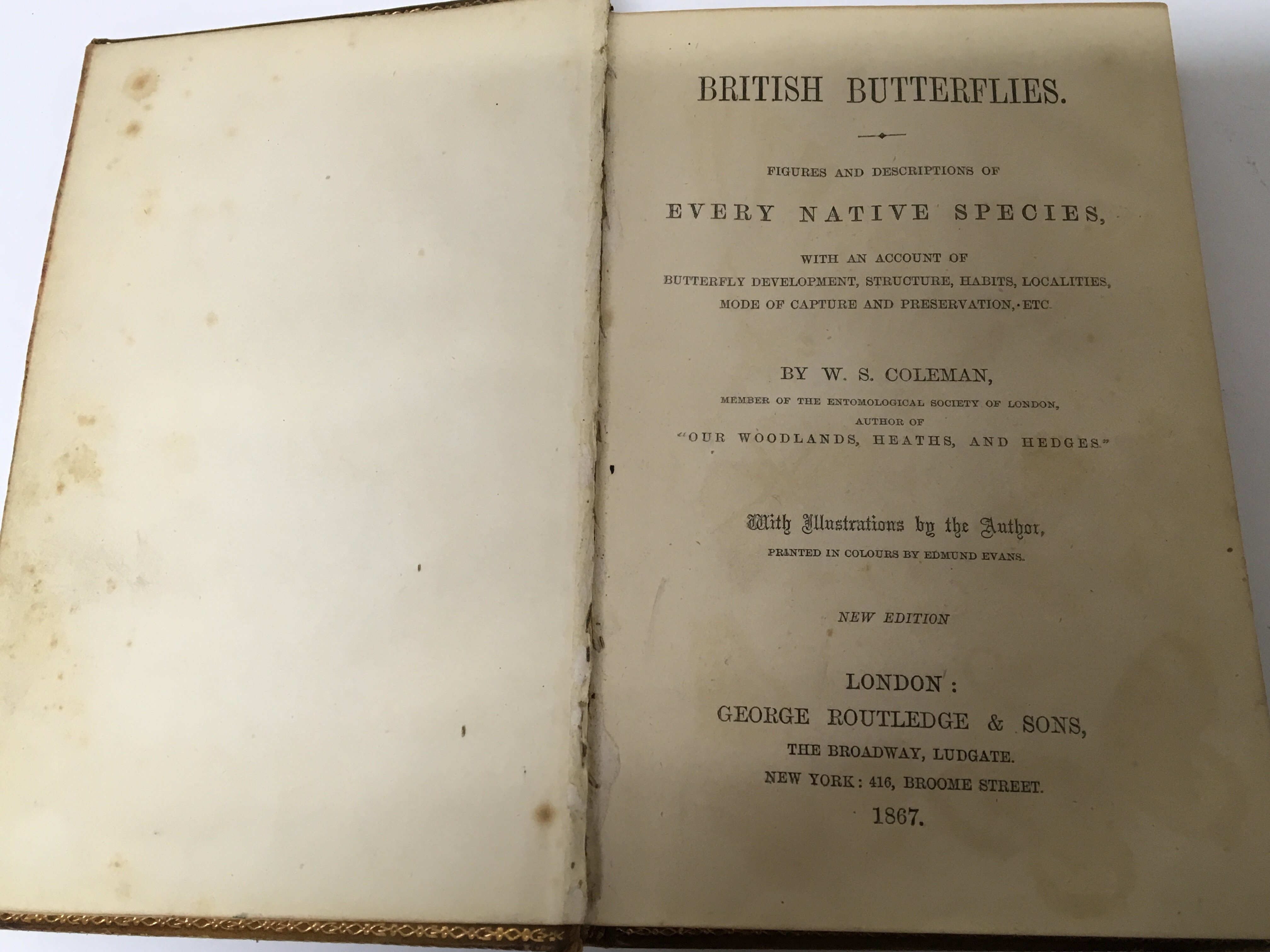 A 19th century leather bound book British Butterfl