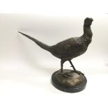 A 20th Century bronze pheasant, approx 33cm.