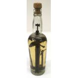 A British folk art talismanic bottle containing various implements.Approx 30cm