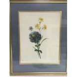 A framed and glazed still life watercolour of flowers, dated 1802.