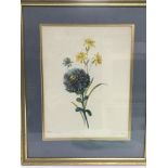 A framed and glazed still life watercolour of flowers, dated 1802 - NO RESERVE