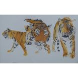 Graeme Sims watercolour of three tigers, signed and dated '77 lower left, 47 x 75cm