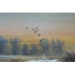 Dion Pears, oil on canvas of Mallard across an evening winter's sky, 60 x 90cm