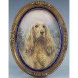 A 19thC watercolour miniature of a Cocker Spaniel in enamel and gilt frame, overall H16cm