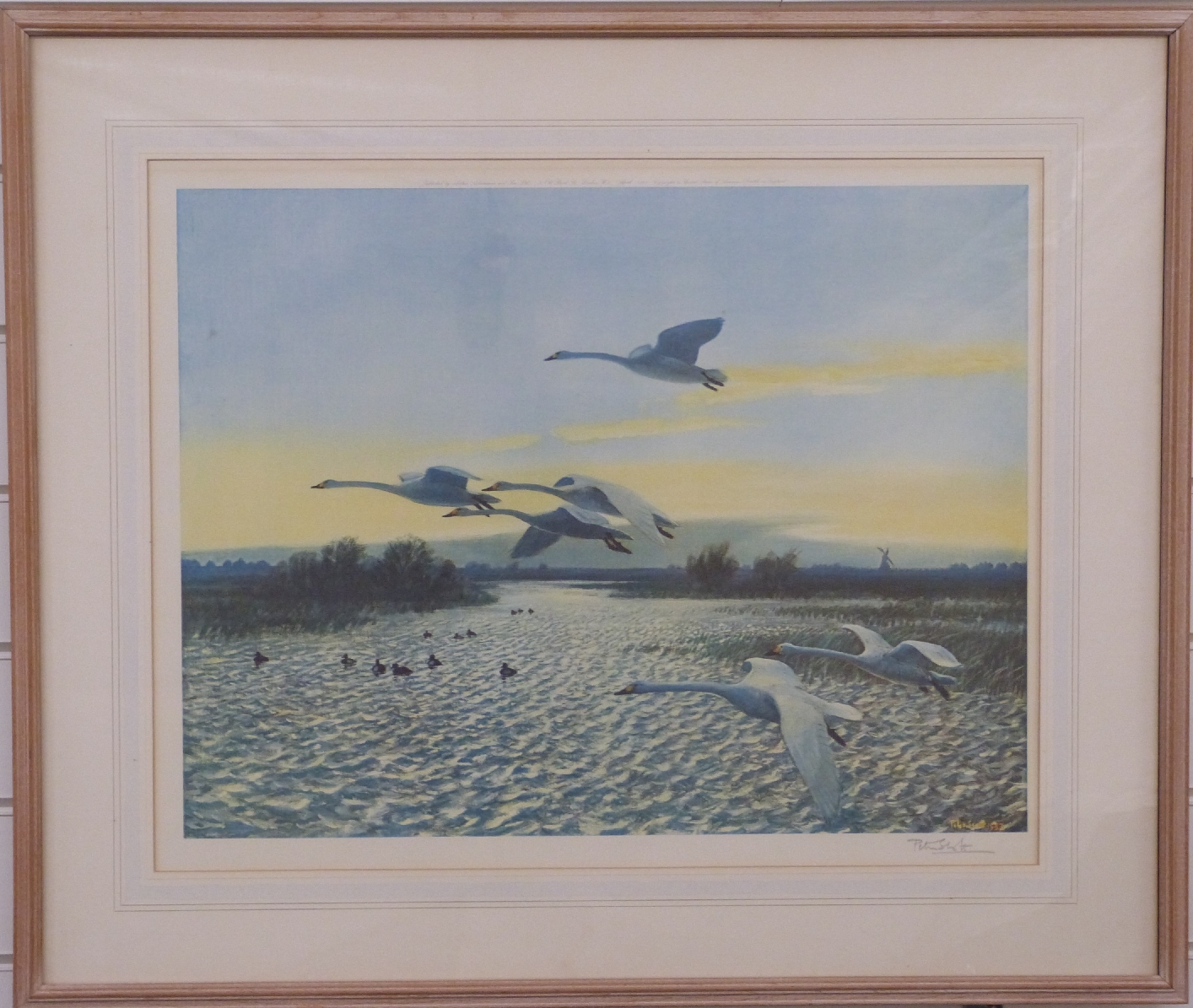 Peter Scott signed print 'North Wind Bewick Swans', 44 x 55cm, with original receipts and invitation - Image 2 of 5