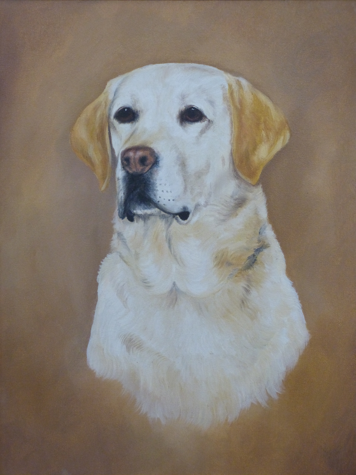 Acrylic on canvas golden labrador dog 'Tess', 45 x 34cm