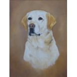 Acrylic on canvas golden labrador dog 'Tess', 45 x 34cm