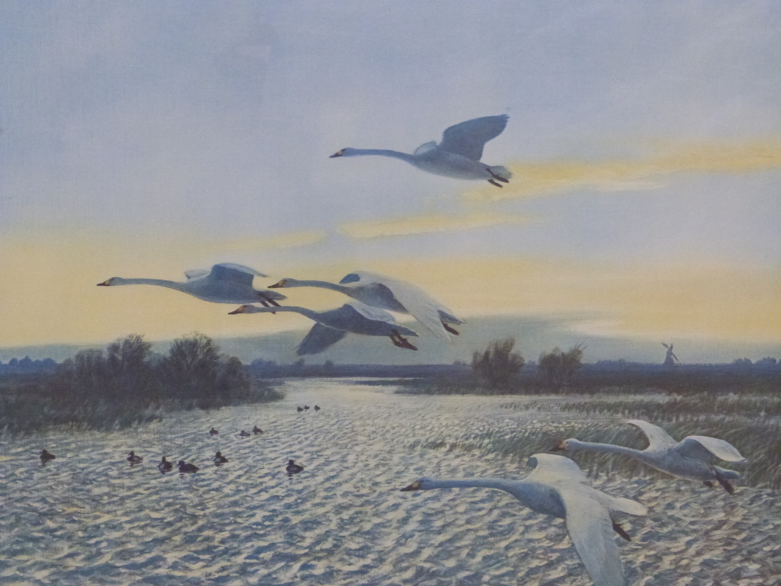 Peter Scott signed print 'North Wind Bewick Swans', 44 x 55cm, with original receipts and invitation