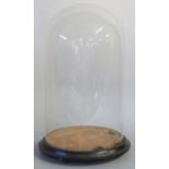 A glass dome on wooden base, height 39cm