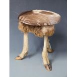 Taxidermy stool with three hoof feet and legs and deer skin top, H36cm